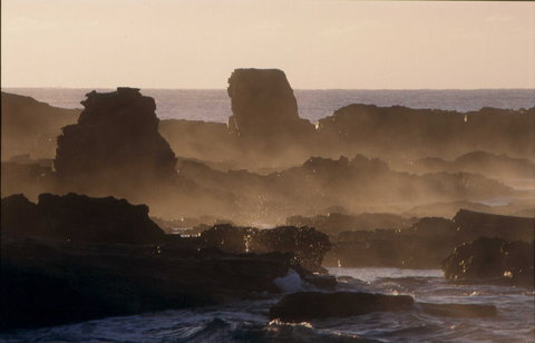Mystery Bay - Sydney Tourism 0