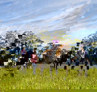 Port Macquarie Horse Riding Centre - Sydney Tourism