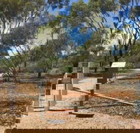 Powell Gardens - Sydney Tourism