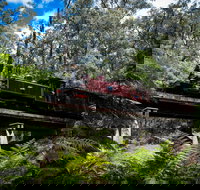 Puffing Billy Railway - Sydney Tourism