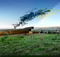 Ravensbourne National Park - Sydney Tourism