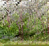 Scutts Hut Trail - Sydney Tourism