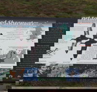 Settlement Point Viewing Platform - Sydney Tourism