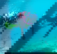 Shellharbour Scuba  and Photography Centre - Sydney Tourism