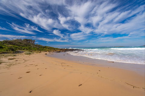 Shelly Beach - Sydney Tourism 0