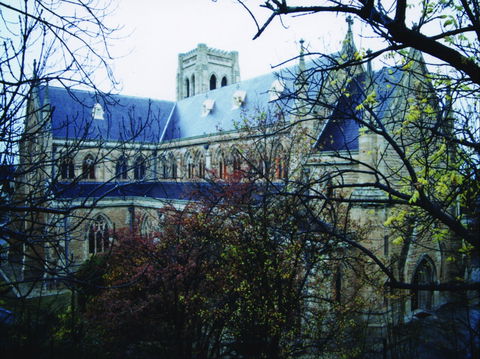 St Saviour's Anglican Cathedral - Sydney Tourism 2