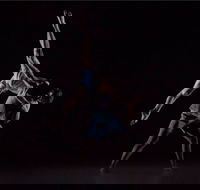 Sydney Dance Company - Sydney Tourism