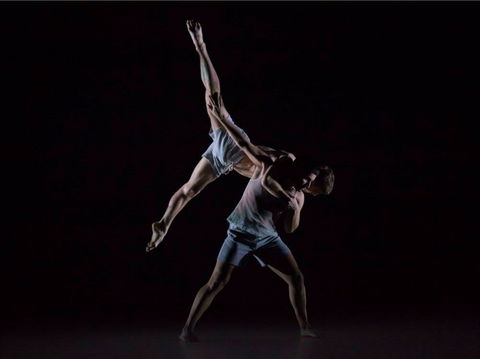 Sydney Dance Company - Sydney Tourism 0