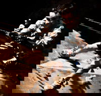 The Rock Adventure Centre - Sydney Tourism