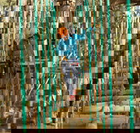 Trees Adventure Yeodene Park - Sydney Tourism