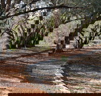 Warrego Floodplain walking track - Sydney Tourism