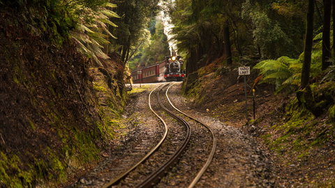 West Coast - Sydney Tourism 0