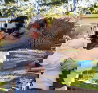 White Ridge Farm - Sydney Tourism