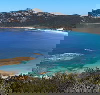 Whitemark - Sydney Tourism