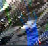 Wildlife Habitat - Sydney Tourism