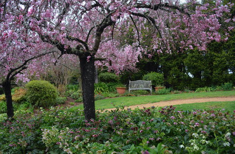 Wildwood Garden - Sydney Tourism 2