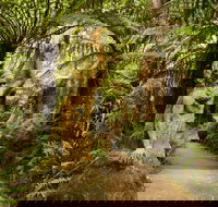 William Ricketts Sanctuary - Sydney Tourism