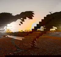 Australian Dinosaur Trail - Sydney Tourism