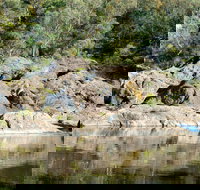 Boonoo Boonoo National Park - Sydney Tourism