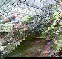 Cairns ZOOM and Wildlife Dome - Sydney Tourism