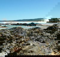 Coastal Walks - Bermagui - Sydney Tourism