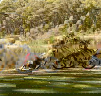 Creswick Regional Park - Sydney Tourism