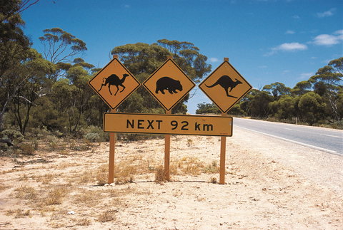 Eyre Highway - Sydney Tourism 1