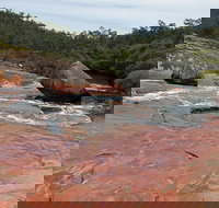 FR Berry Reserve - Sydney Tourism