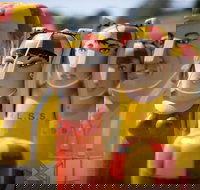 Geelong - Sydney Tourism