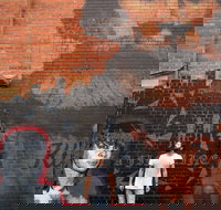 Geelong Street Art - Sydney Tourism