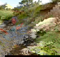 Gold Panning Deep Creek