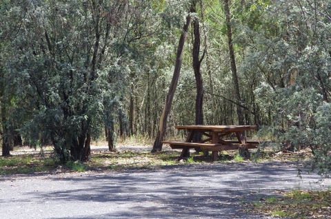 Goonoowigall State Conservation Area - Sydney Tourism 0