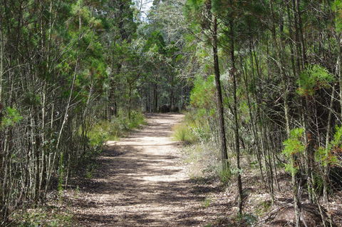Goonoowigall State Conservation Area - Sydney Tourism 1