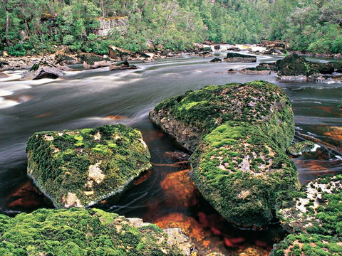 Gordon River - The - Sydney Tourism 2