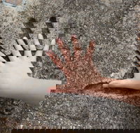 Hands of Fame Park - Sydney Tourism