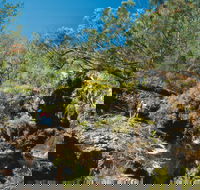 Kroombit Tops National Park - Sydney Tourism