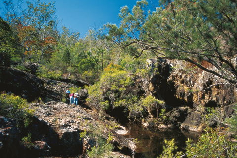 Kroombit Tops National Park - Sydney Tourism 0