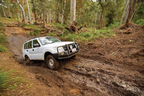 Kroombit Tops National Park - Sydney Tourism 1