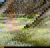 Leaghur State Park - Sydney Tourism