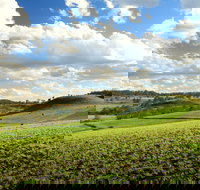 Lions Park Hodgson Vale - Sydney Tourism