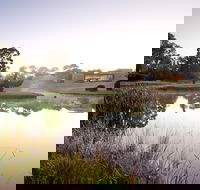 McClelland Sculpture Park  Gallery - Sydney Tourism