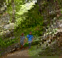 Melba Gully - Sydney Tourism