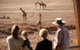 Monarto Safari Park - thumb 0