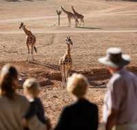 Monarto Safari Park - Sydney Tourism