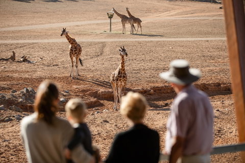 Monarto Safari Park - Sydney Tourism 0