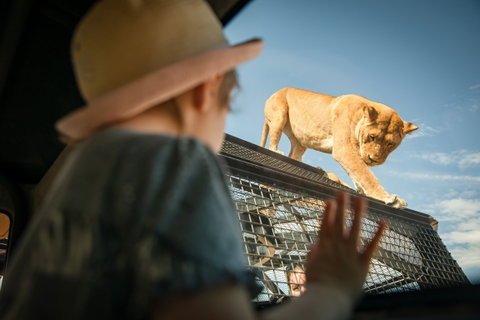 Monarto Safari Park - Sydney Tourism 2