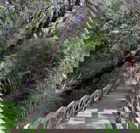 Mulwaree River Walkway - Sydney Tourism