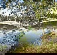 Murray Valley National Park