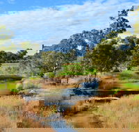 Owen  Hamley Bridge - Sydney Tourism
