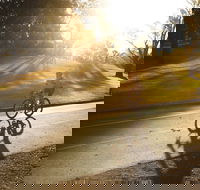 Parramatta River Cycleway - Sydney Tourism